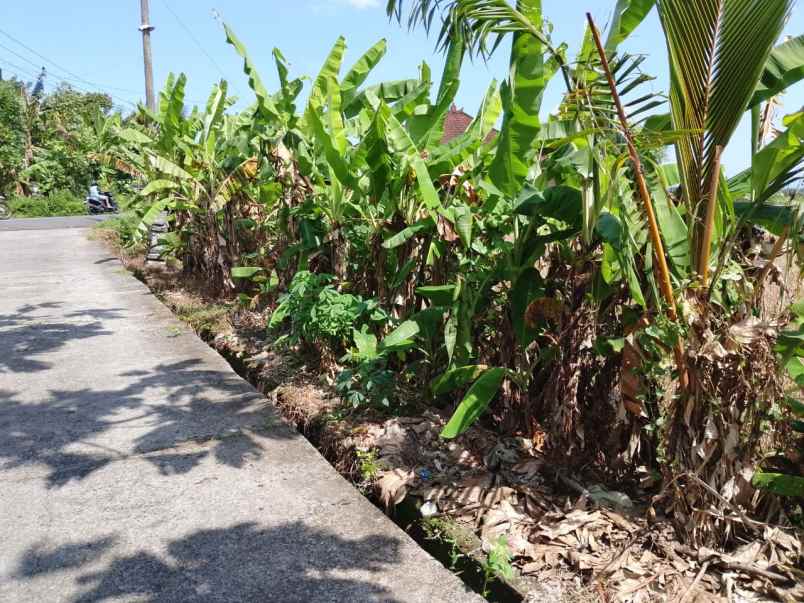 dijual lahan yang berlokasi di dekat pantai kelating