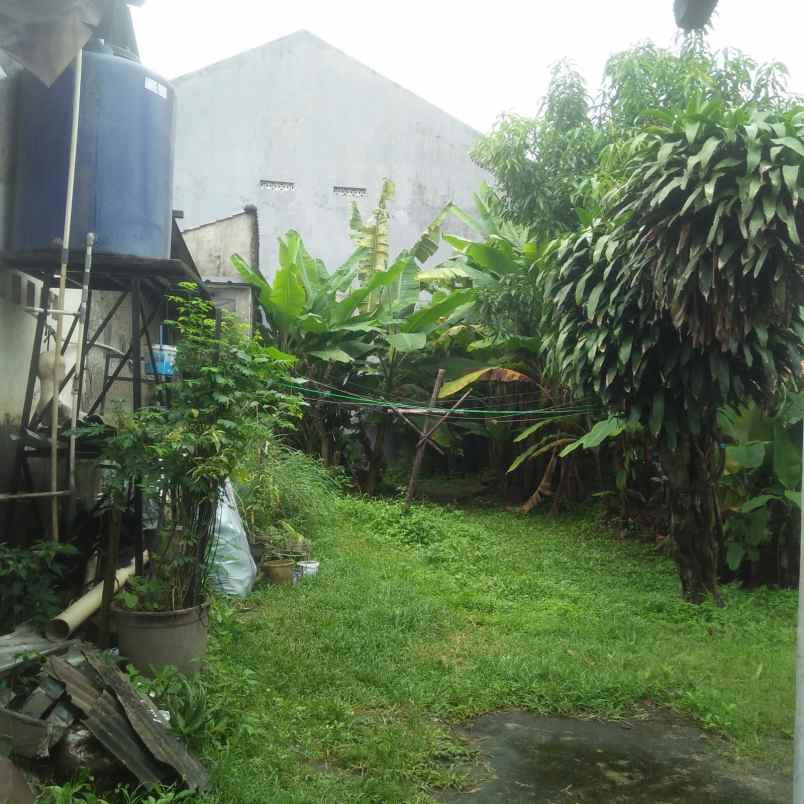 dijual rumah dengan lahan luas