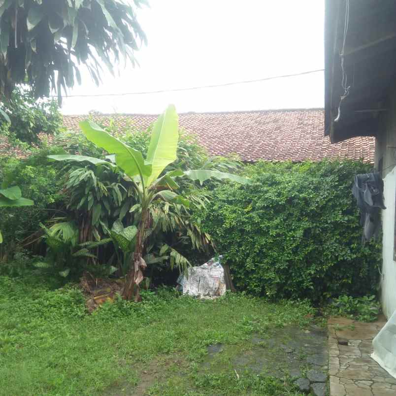 dijual rumah dengan lahan luas