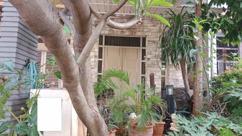 dijual rumah grand orchard kelapa