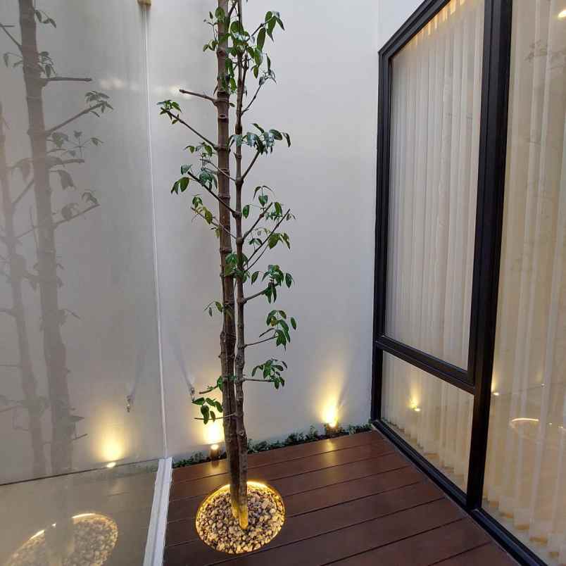 dijual rumah mojoarum