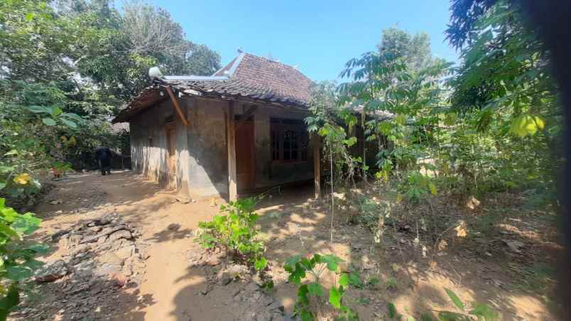 dijual rumah murah di sukoharjo tawangsari 1000 meter