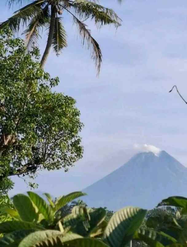 dijual rumah pakem