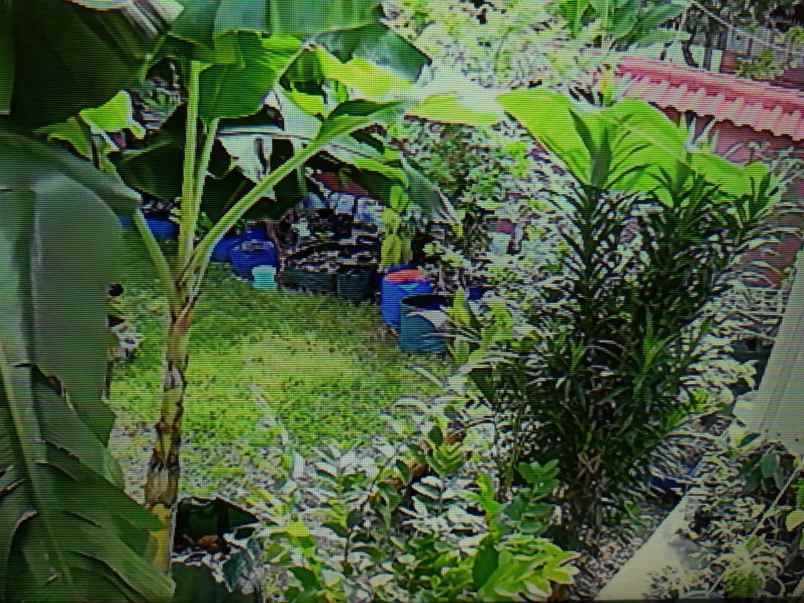 dijual rumah semolowaru elok kec