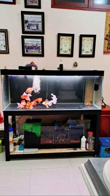 dijual rumah simpang darmo permai selatan