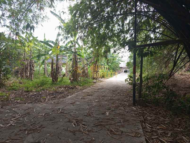 dijual rumah sumberharjo