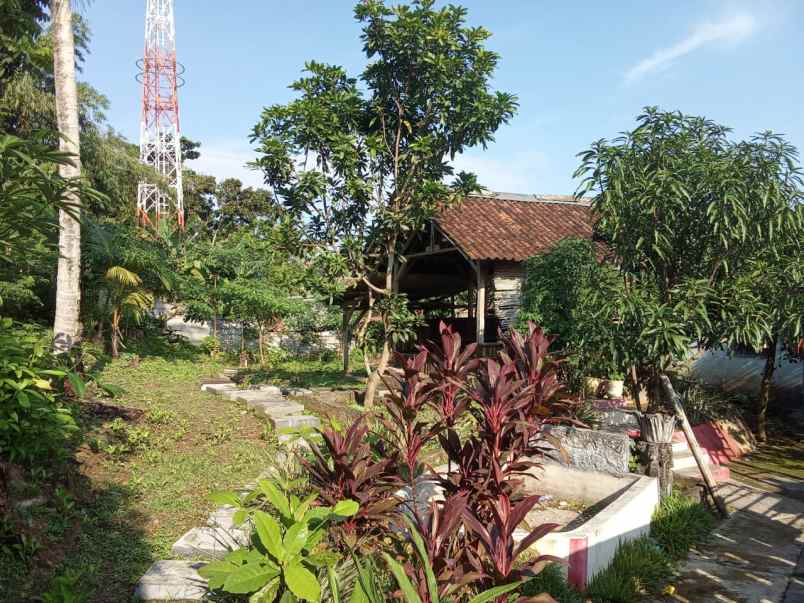 dijual rumah tanah lokasi strategis cocok untuk usaha