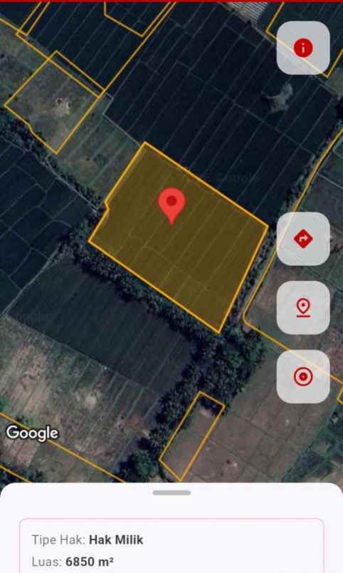 dijual sawah produktif di banyuwangi jawa timur