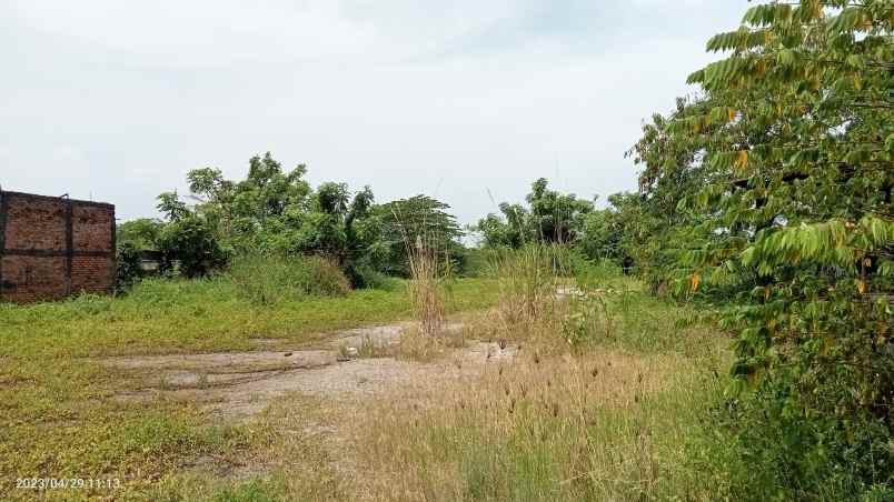 dijual tanah 8190 m2 cikarang timur