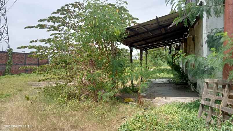 dijual tanah 8190 m2 cikarang timur