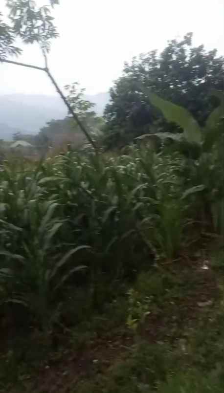 dijual tanah babakan bandung
