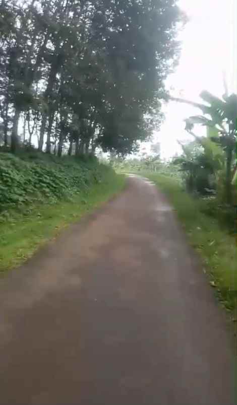 dijual tanah babakan bandung
