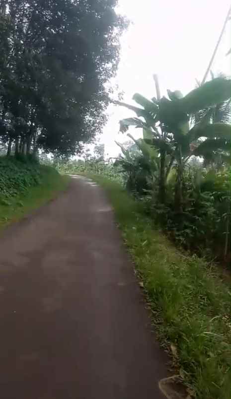 dijual tanah babakan bandung