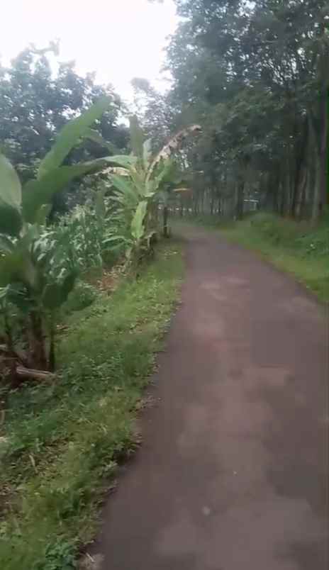 dijual tanah babakan bandung