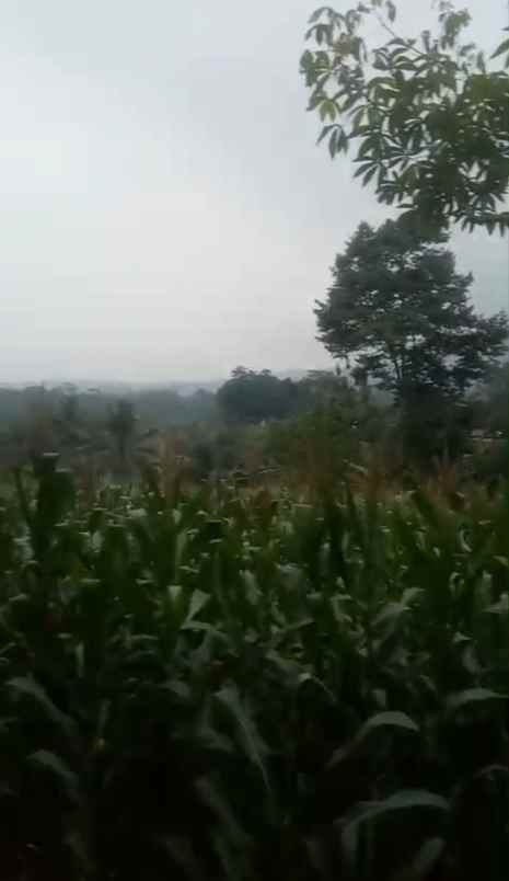 dijual tanah babakan bandung