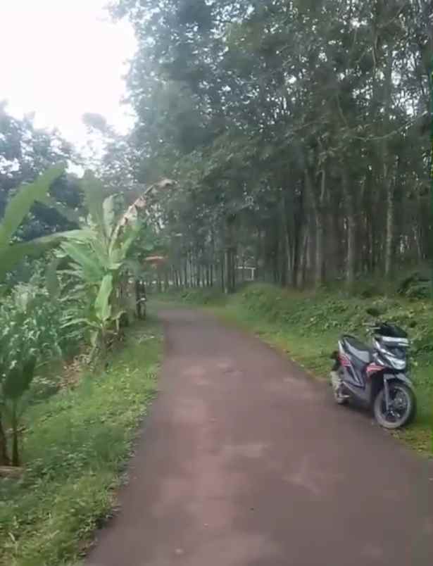 dijual tanah babakan bandung