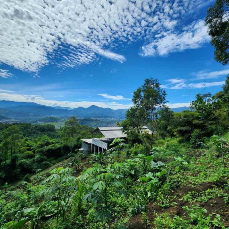 dijual tanah bandung ciwidey