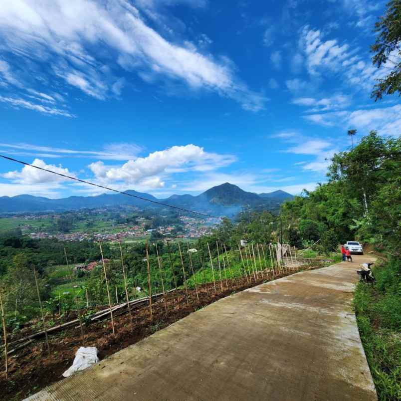 dijual tanah bandung ciwidey