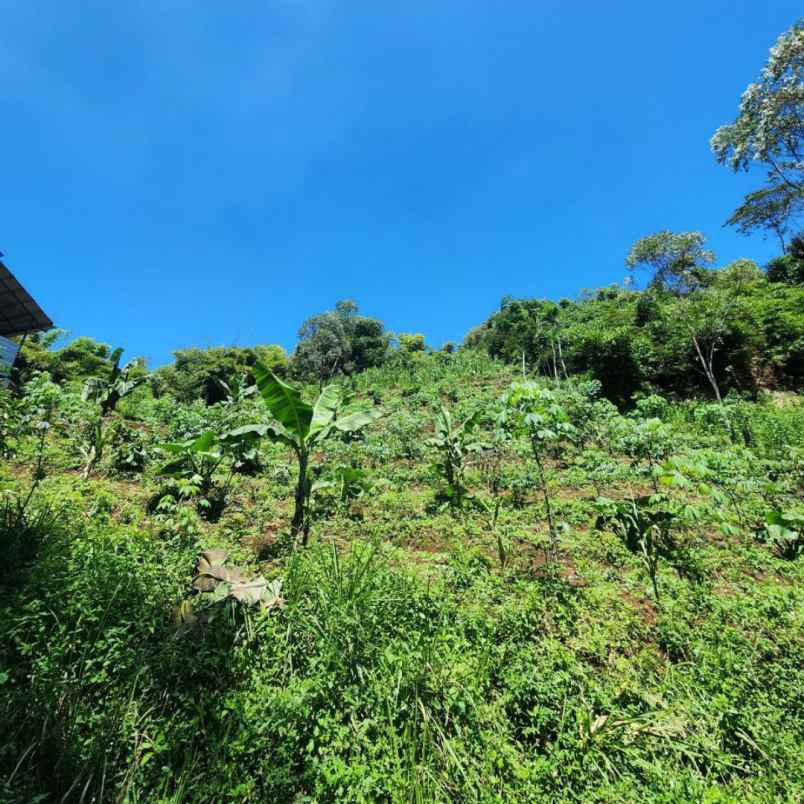 dijual tanah bandung ciwidey