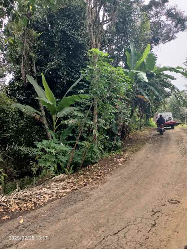 dijual tanah belimbing tabanan bali