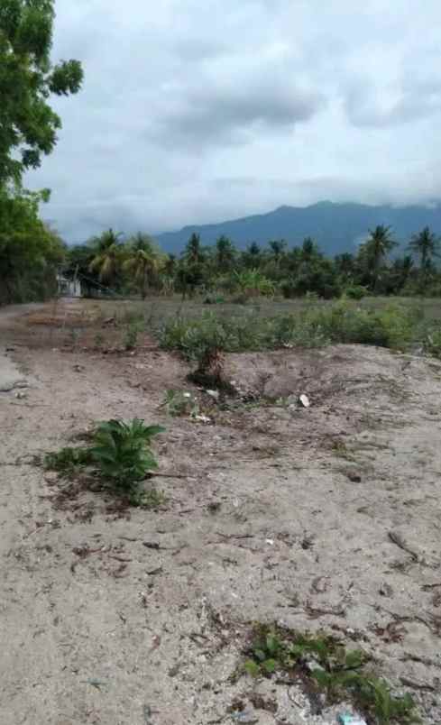 dijual tanah celukan bawang buleleng bali