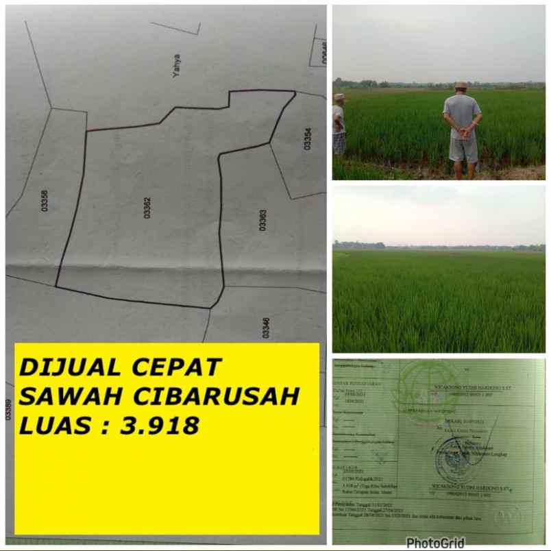 dijual tanah cibarusah bekasi