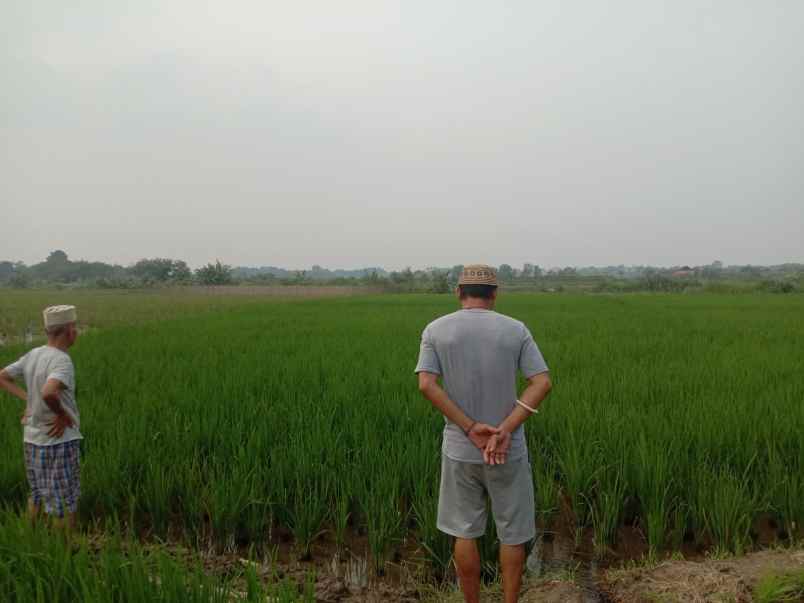 dijual tanah cibarusah bekasi