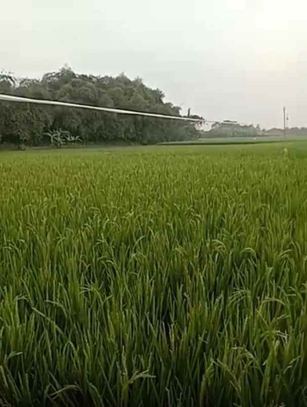 dijual tanah cibarusah bekasi