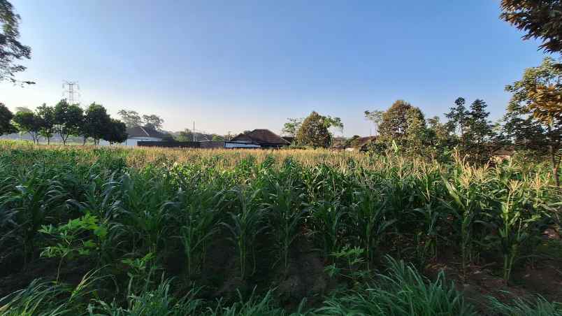 dijual tanah cocok untuk investasi jangka panjang