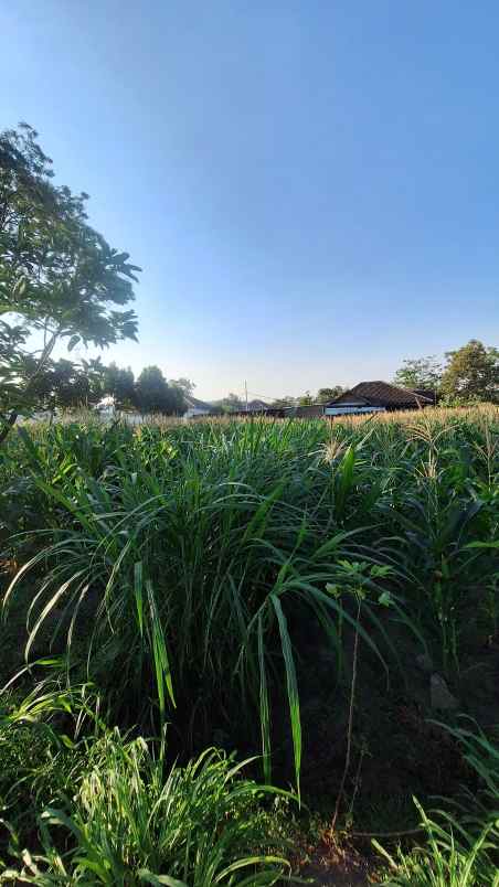 dijual tanah cocok untuk investasi jangka panjang
