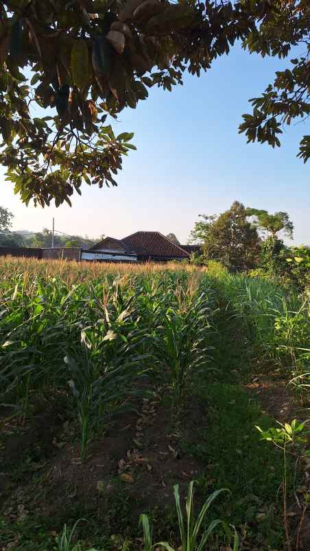 dijual tanah cocok untuk investasi jangka panjang