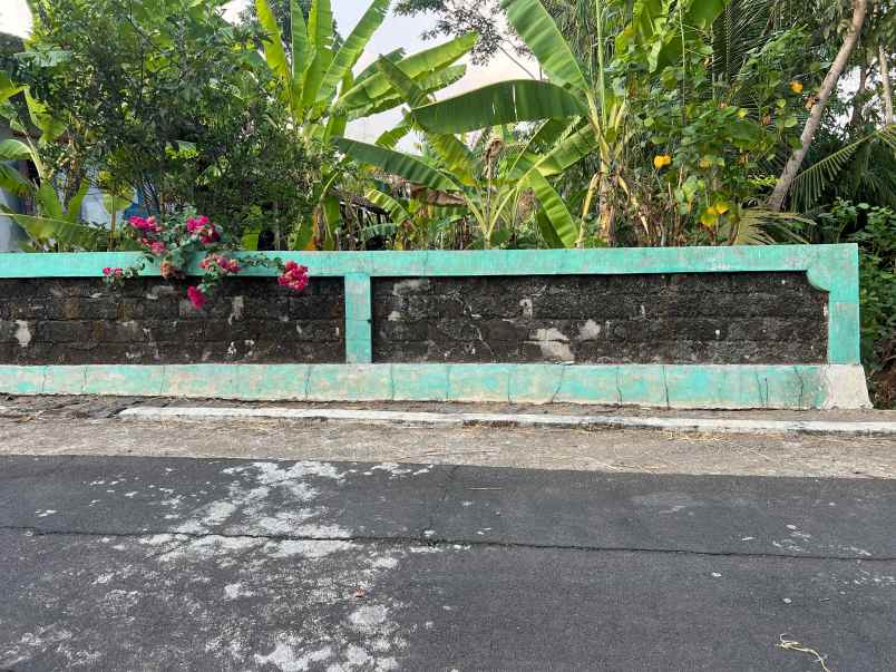 dijual tanah datar untuk kebun buah investasi lainnya