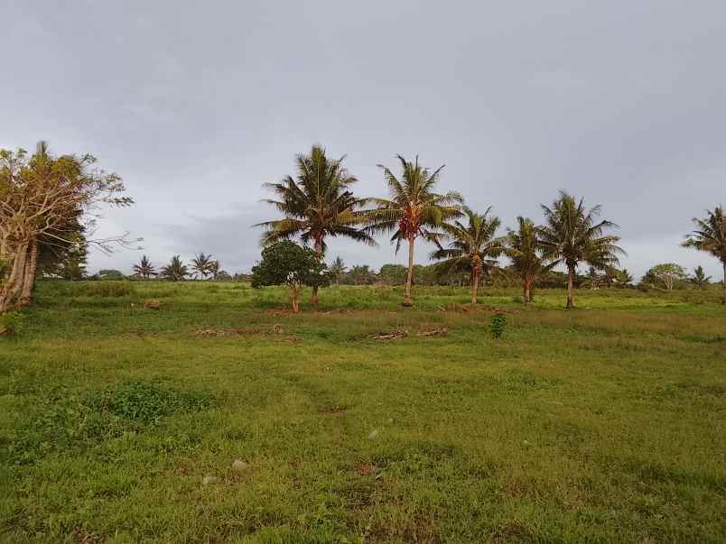 dijual tanah dekat pantai dan kampung