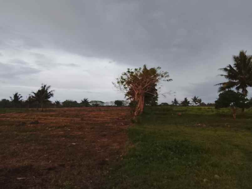 dijual tanah dekat pantai dan kampung