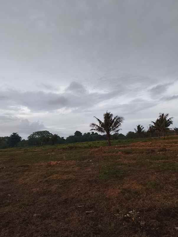 dijual tanah dekat pantai dan kampung