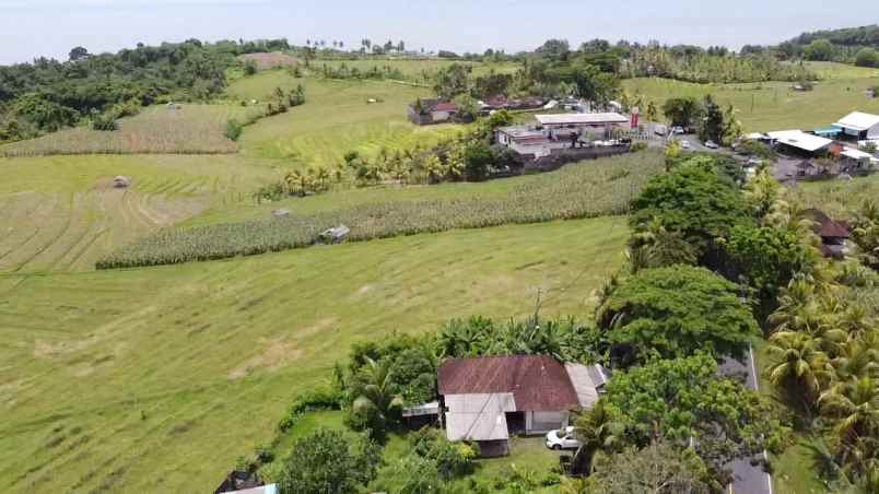 dijual tanah desa soka kec selemadeg