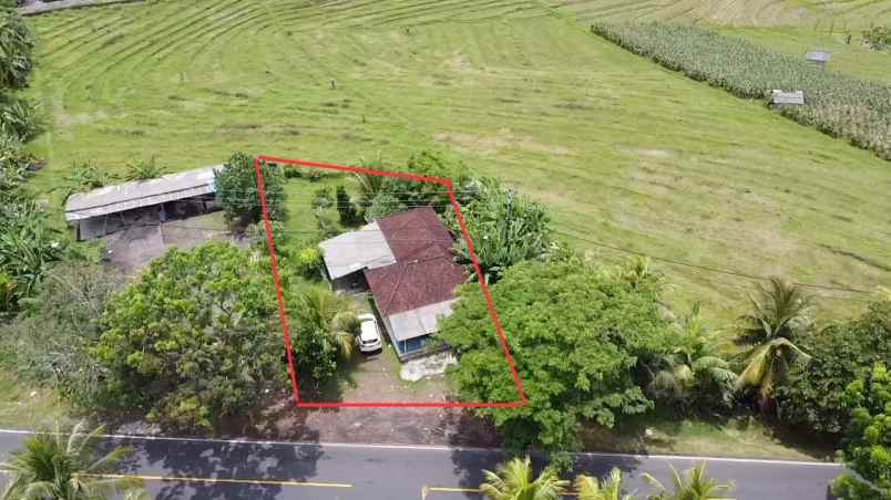 dijual tanah desa soka kec selemadeg