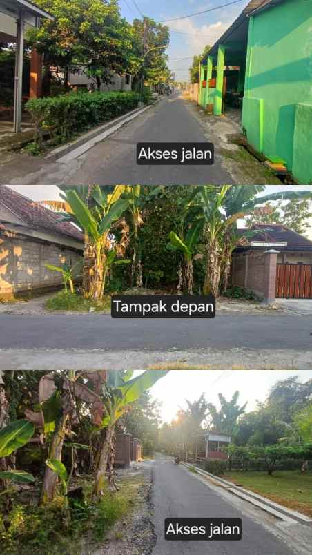 dijual tanah di desa sidorejo belakang mtsn sidorejo
