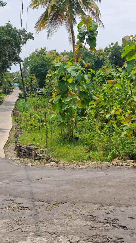 dijual tanah di di kec dlingo kab bantul