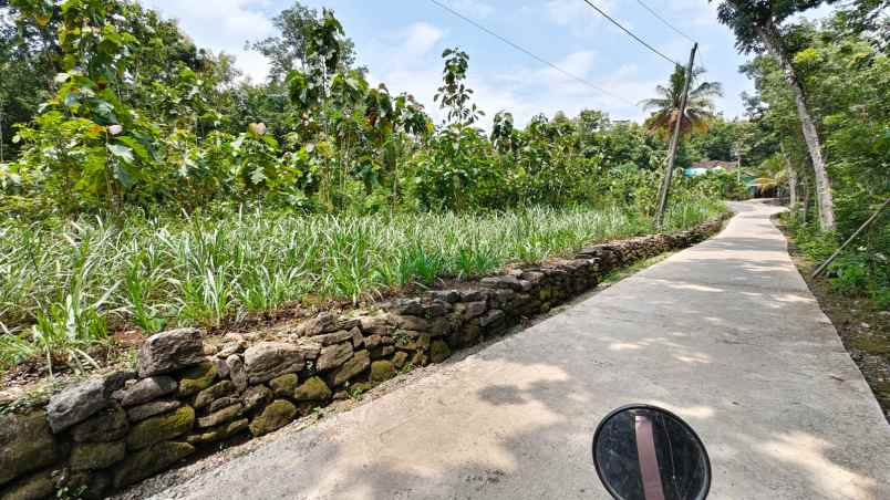 dijual tanah di di kec dlingo kab bantul