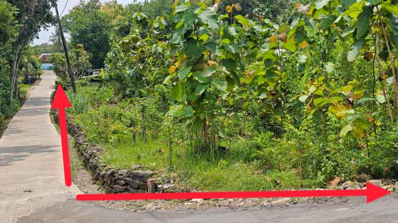 dijual tanah di di kec dlingo kab bantul