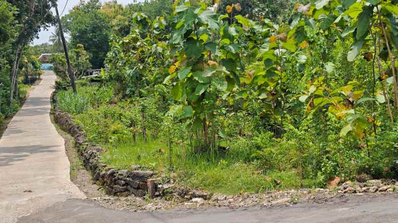 dijual tanah di di kec dlingo kab bantul