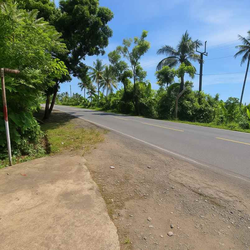 dijual tanah di pinggir jalan utama denpasar gilimanuk