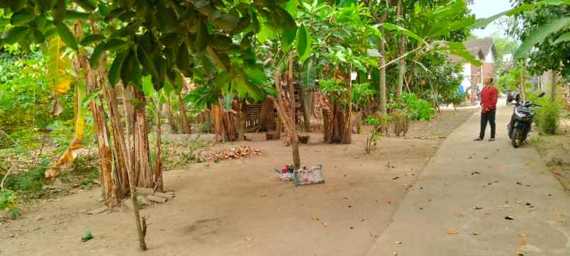 dijual tanah dijual tanah di colomadu