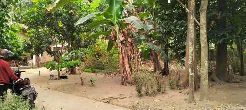 dijual tanah dijual tanah di colomadu