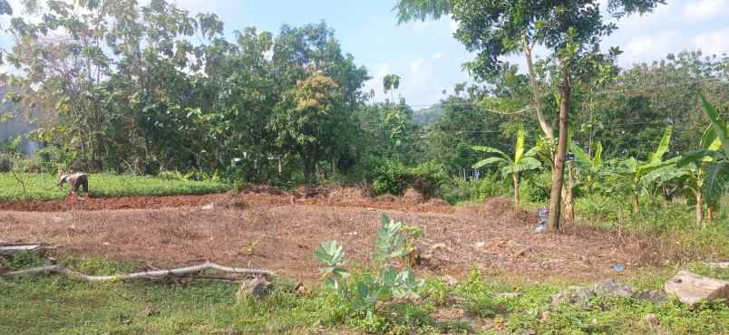 dijual tanah dijual tanah di samping