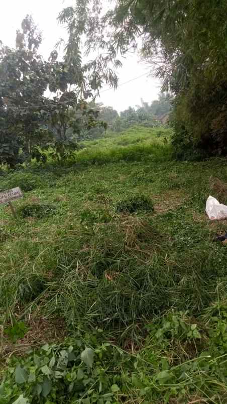 dijual tanah dijual tanah di selorejo