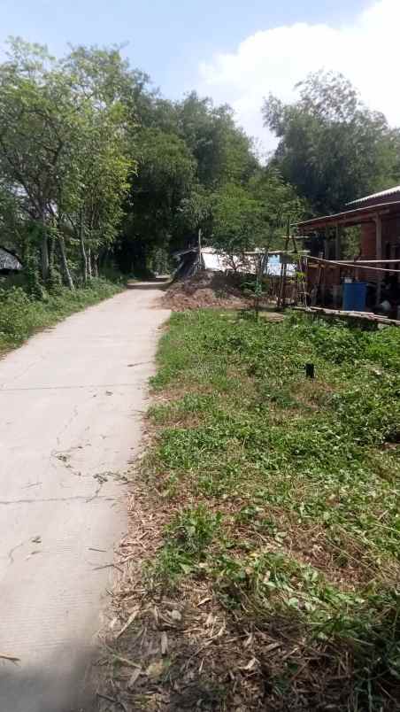 dijual tanah dijual tanah di selorejo