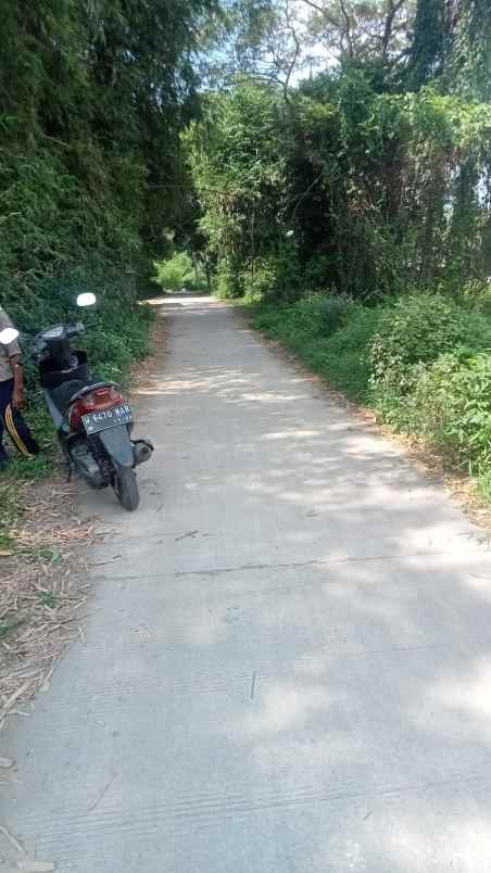 dijual tanah dijual tanah di selorejo