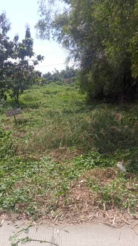 dijual tanah dijual tanah di selorejo